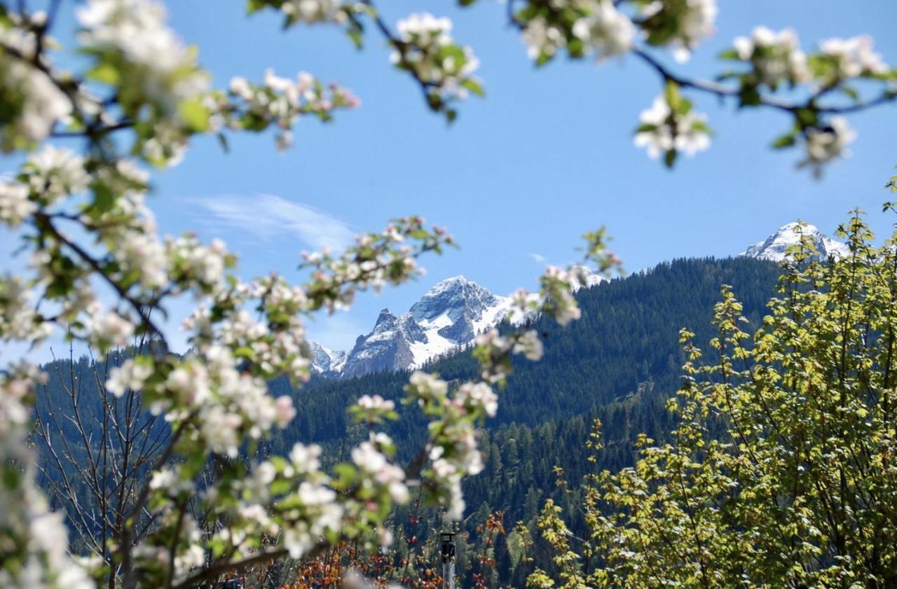 Landhaus Bergner Alm บรุค อันแดร์ โกรสส์กลอคเนอร์ชตราสเซอ ภายนอก รูปภาพ