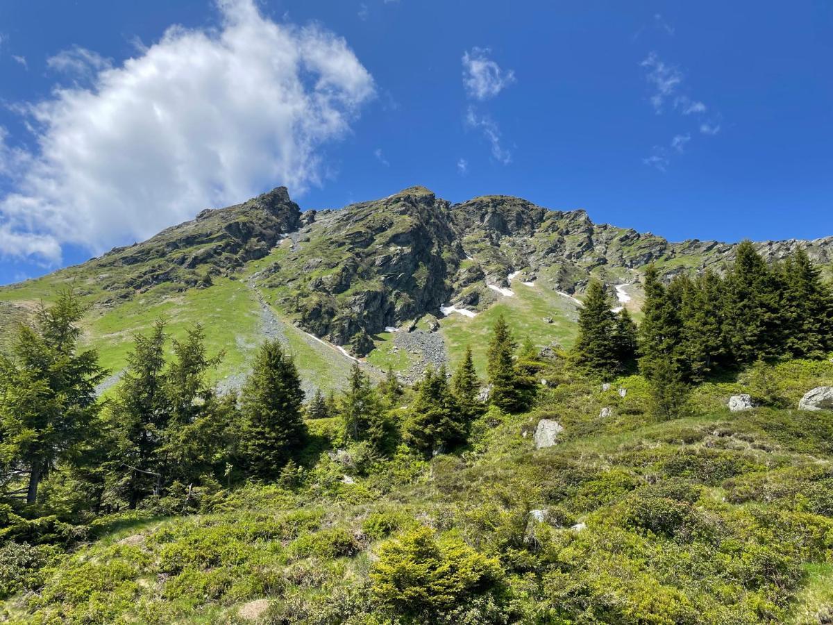 Landhaus Bergner Alm บรุค อันแดร์ โกรสส์กลอคเนอร์ชตราสเซอ ภายนอก รูปภาพ
