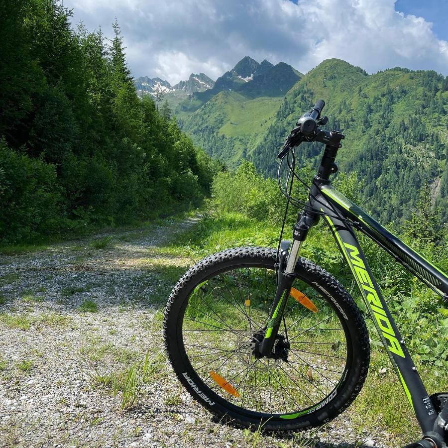 Landhaus Bergner Alm บรุค อันแดร์ โกรสส์กลอคเนอร์ชตราสเซอ ภายนอก รูปภาพ