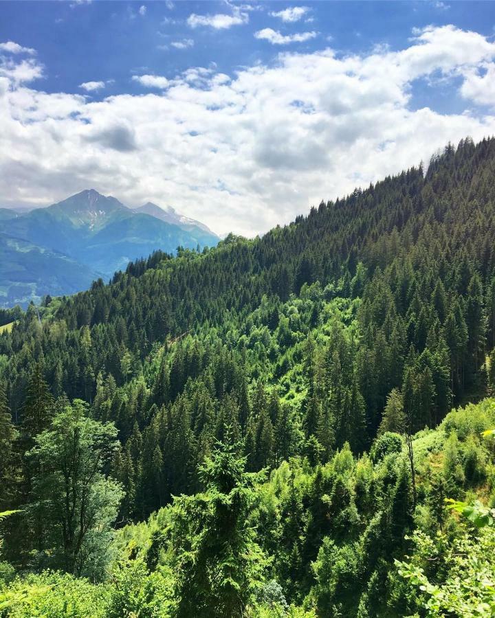 Landhaus Bergner Alm บรุค อันแดร์ โกรสส์กลอคเนอร์ชตราสเซอ ภายนอก รูปภาพ